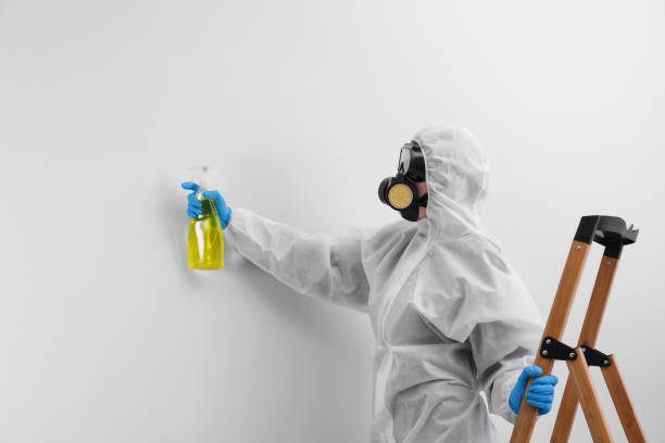 Best Commercial Mold Inspection  in Greenbrier, AR