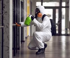 Best Basement Mold Removal  in Greenbrier, AR